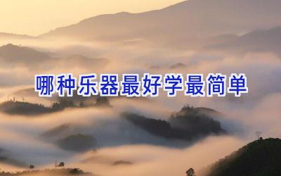 哪种乐器最好学最简单